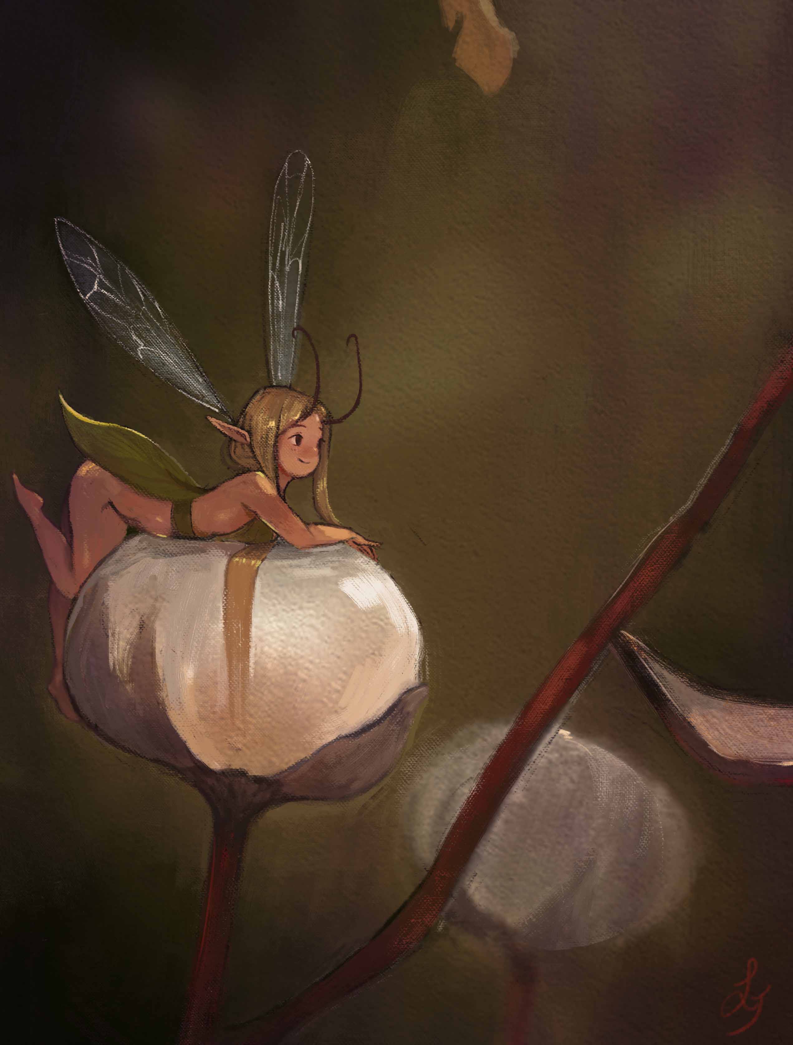 Illustration of a tiny fairy on a coton flower